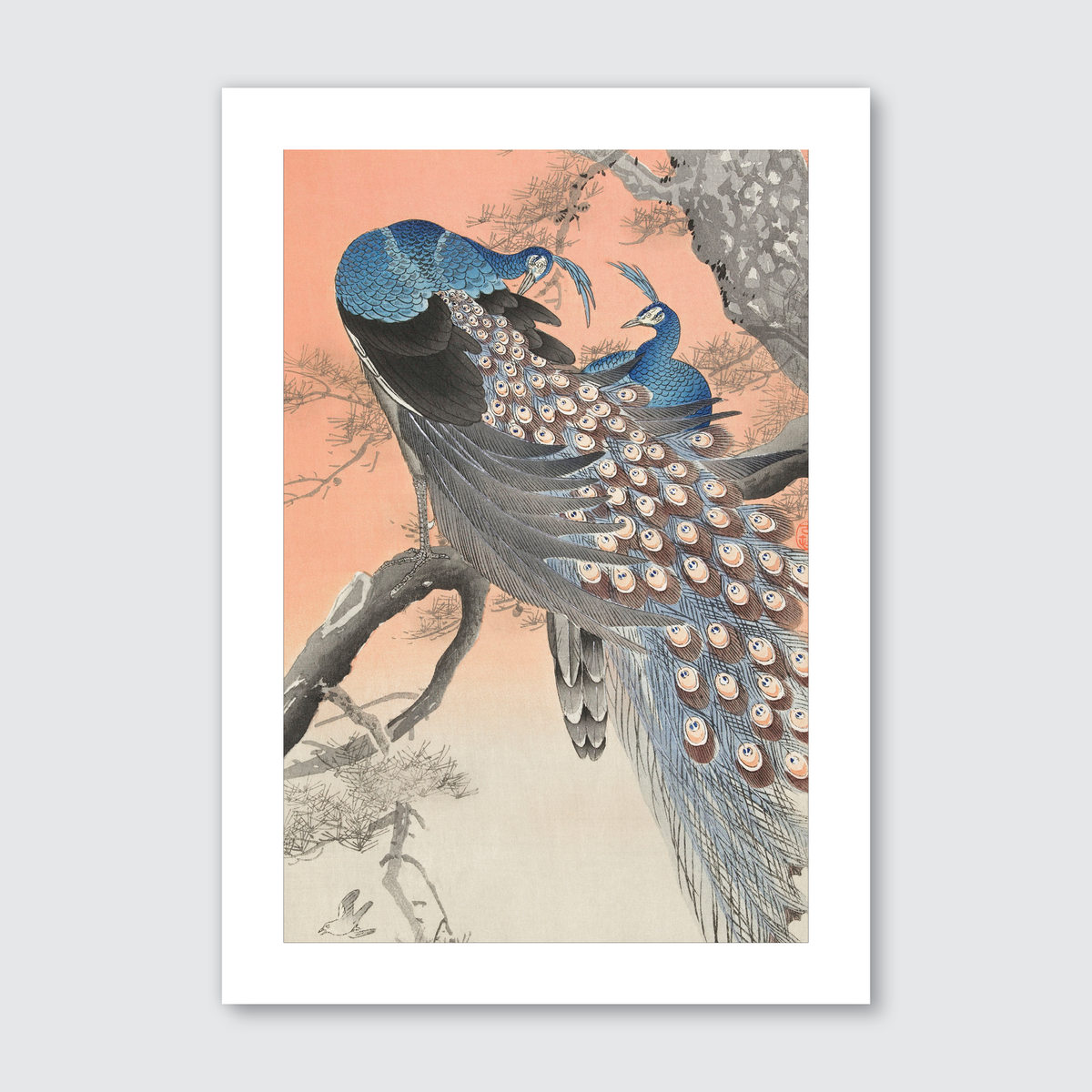 Two Peacocks on Tree Branch