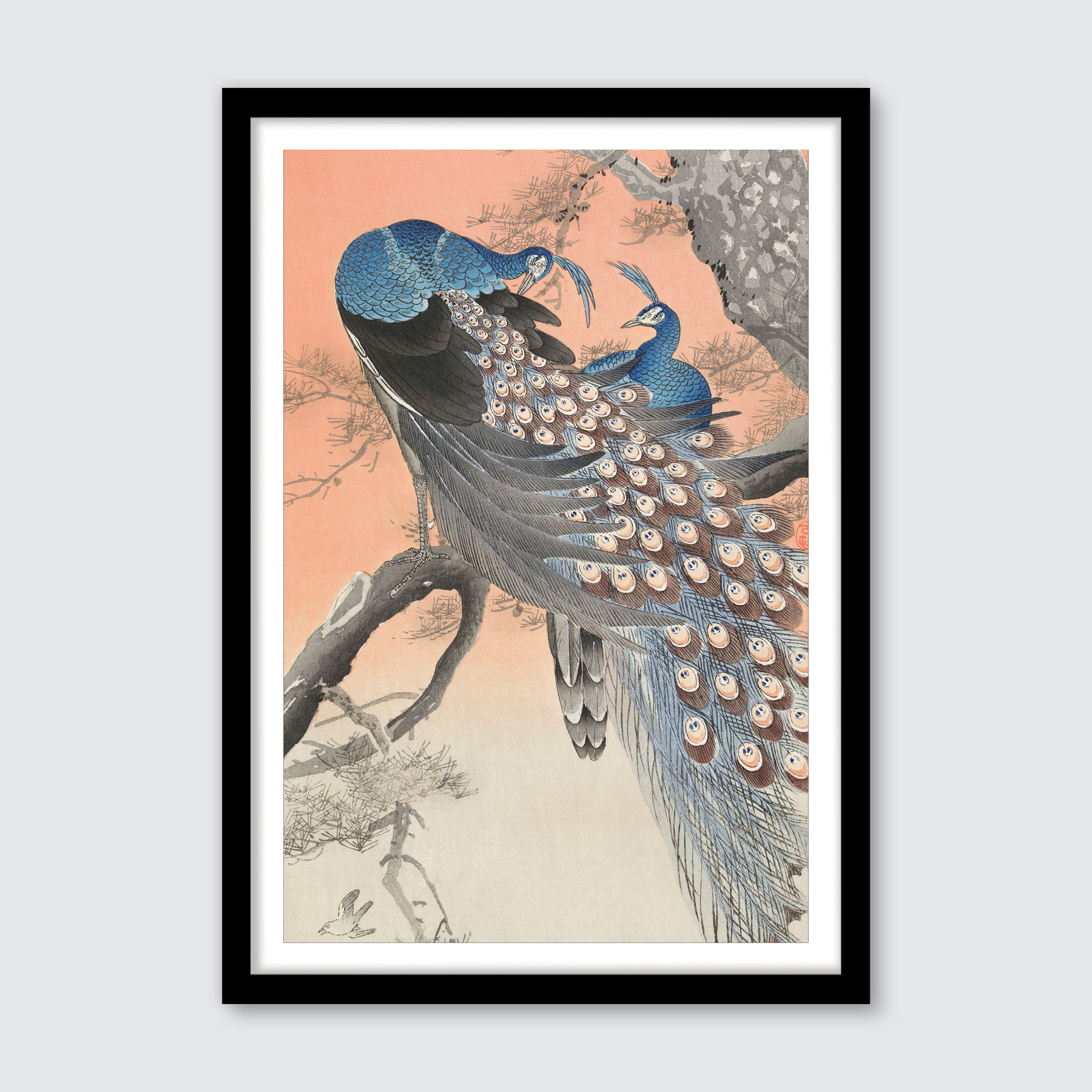 Two Peacocks on Tree Branch