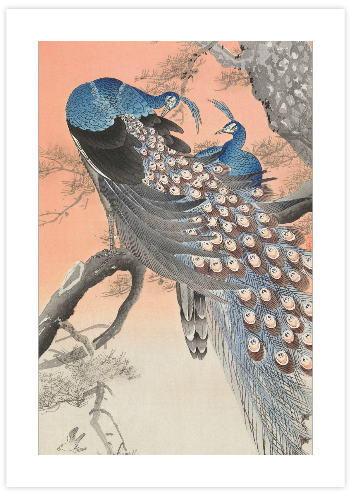 Two Peacocks on Tree Branch