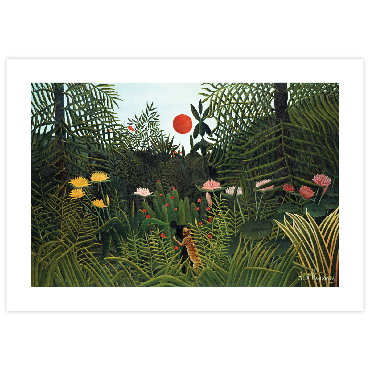 Virgin Forest with Sunset