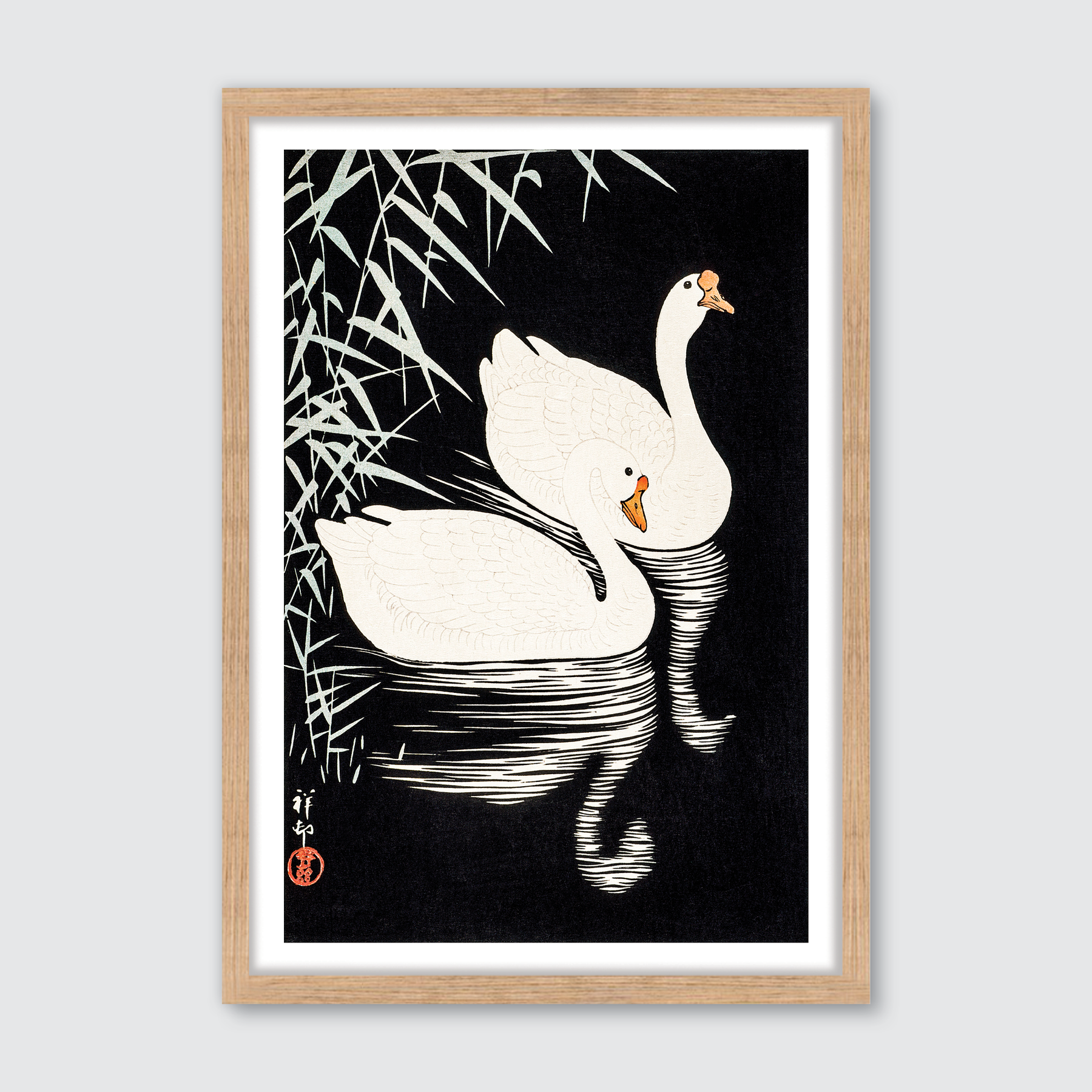 White Chinese Geese Swimming by Reeds