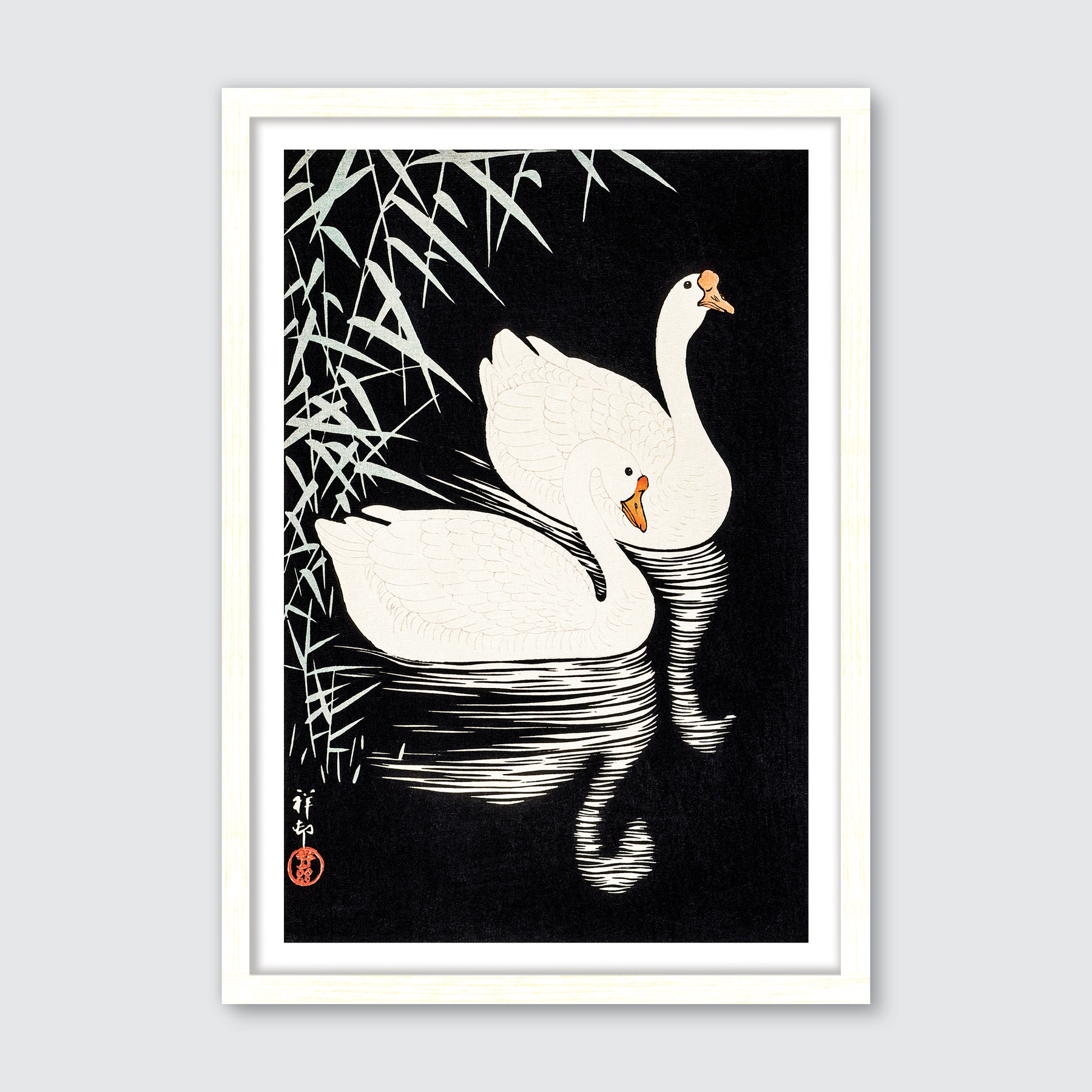 White Chinese Geese Swimming by Reeds