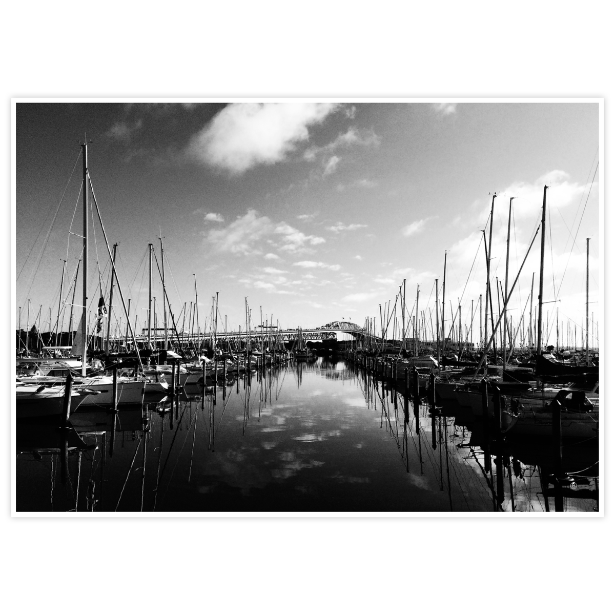 Westhaven Marina â