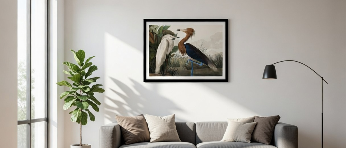 Framed vintage wildlife bird print on a sunlit wall with leaf shadows above a modern grey sofa.