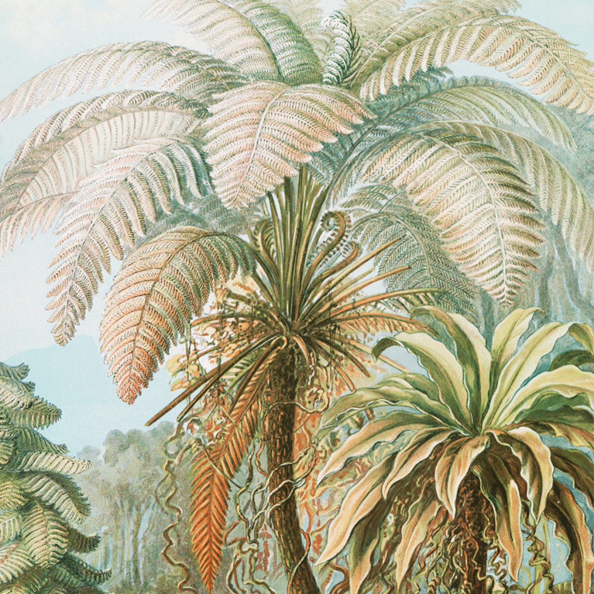 Close-up detail of a vintage botanical illustration featuring intricate green palm ferns by Ernst Haeckel.