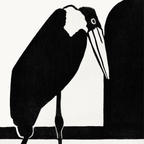 A Lame Marabou (1909)