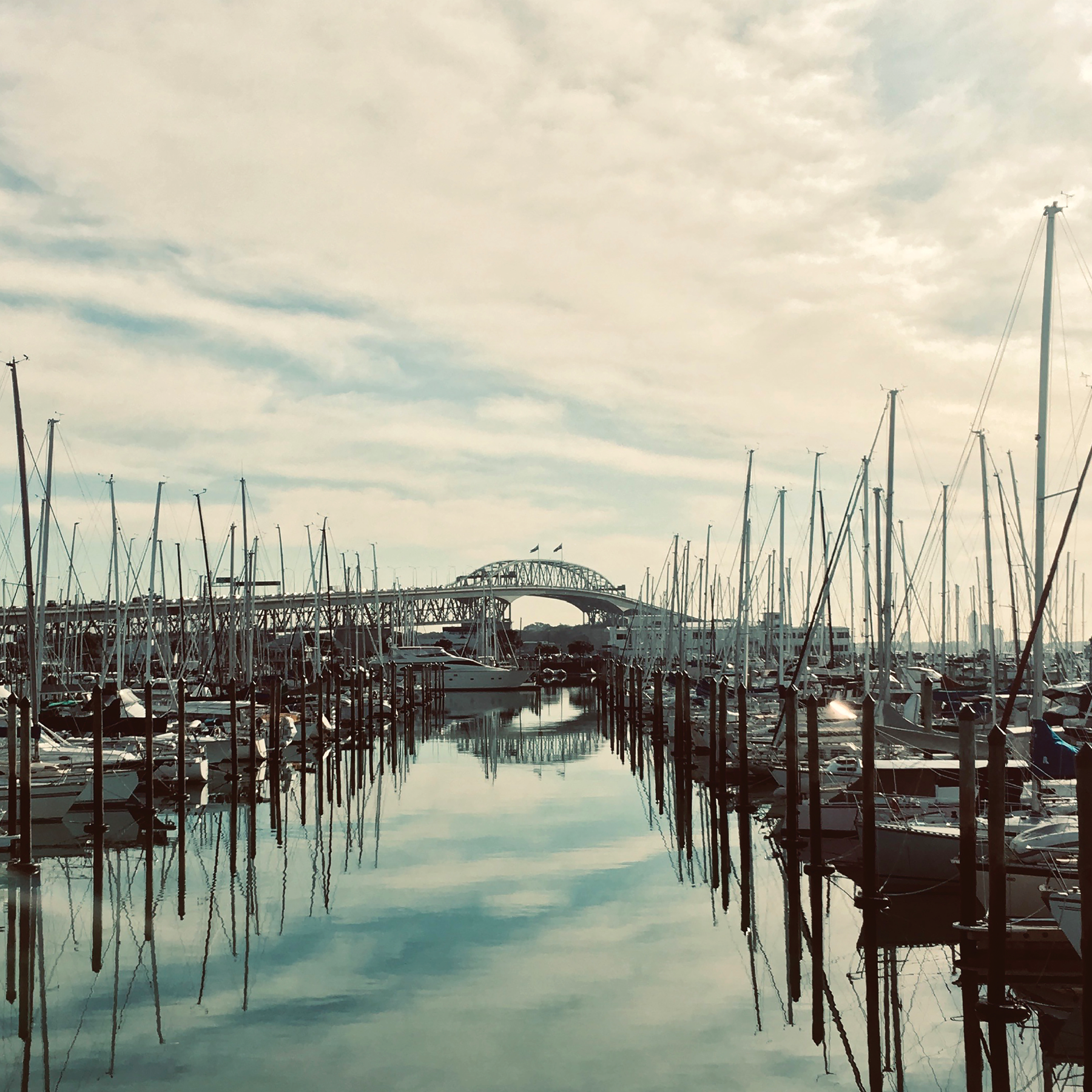 Westhaven Beauty