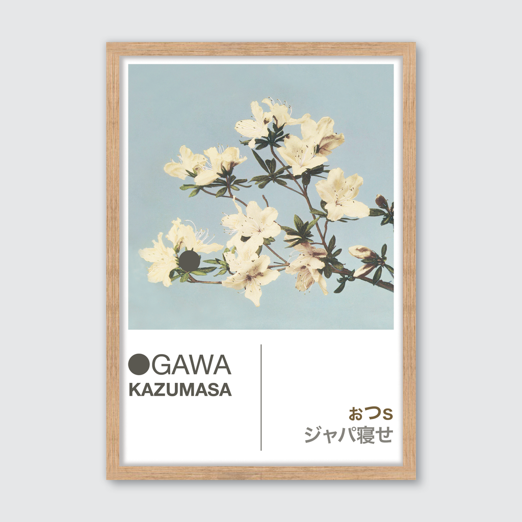 Azaleas