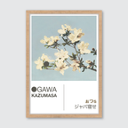 Azaleas
