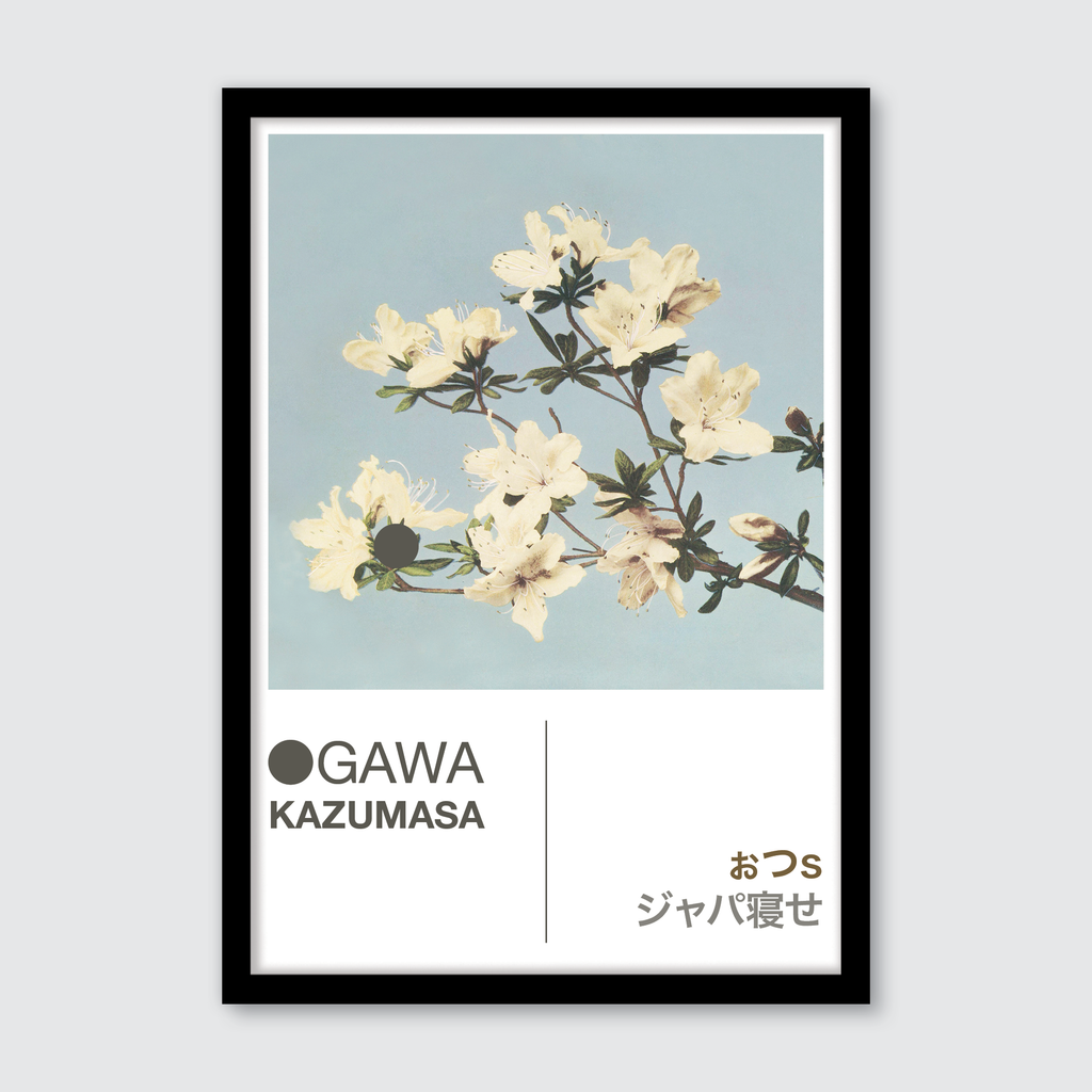 Azaleas