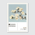 Azaleas