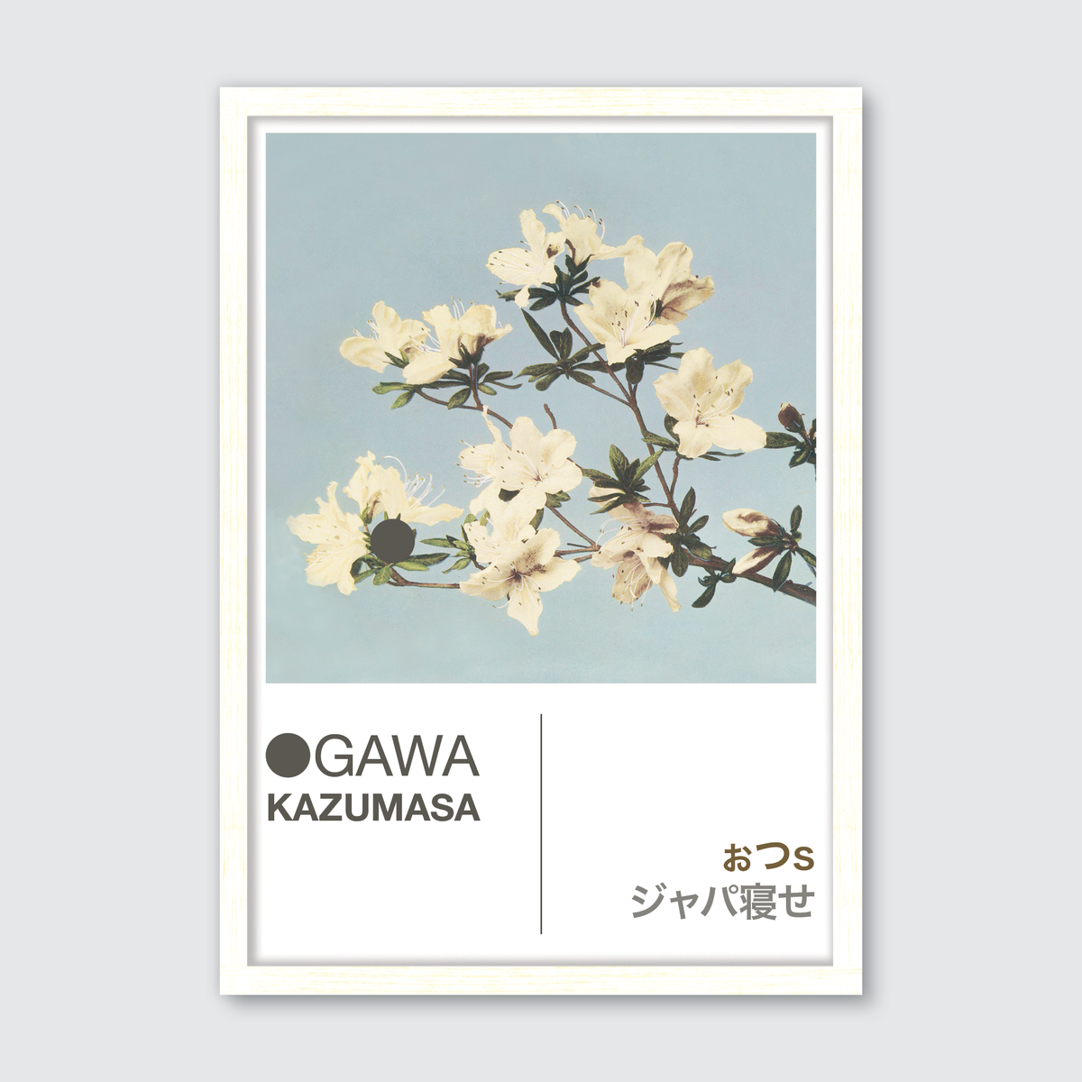 Azaleas