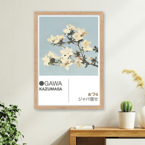 Azaleas