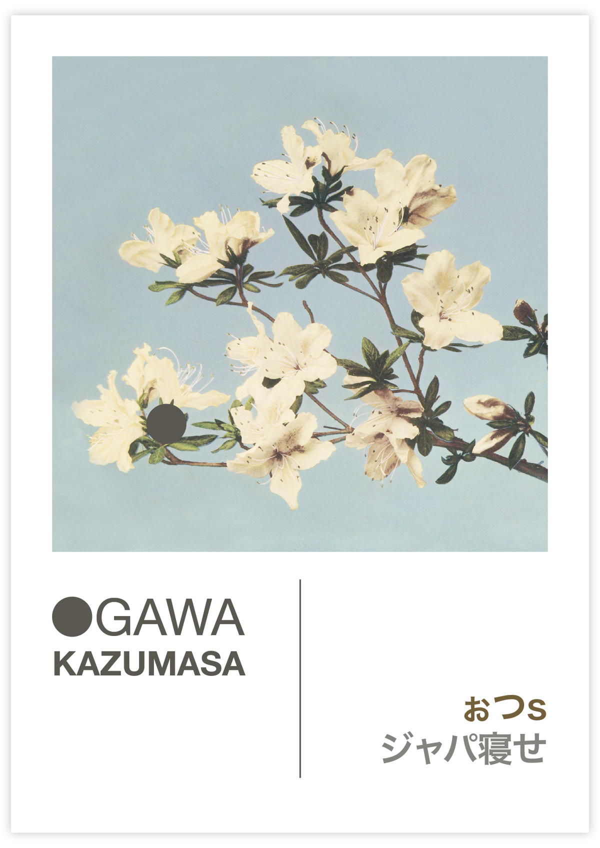 Azaleas