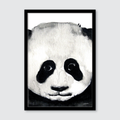Baby Panda