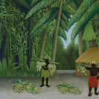 Banana Harvest