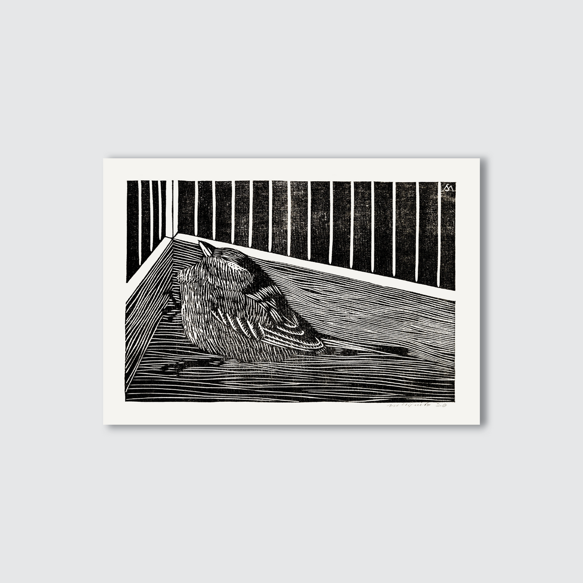 Sparrow bird in the corner, black and white etched print.