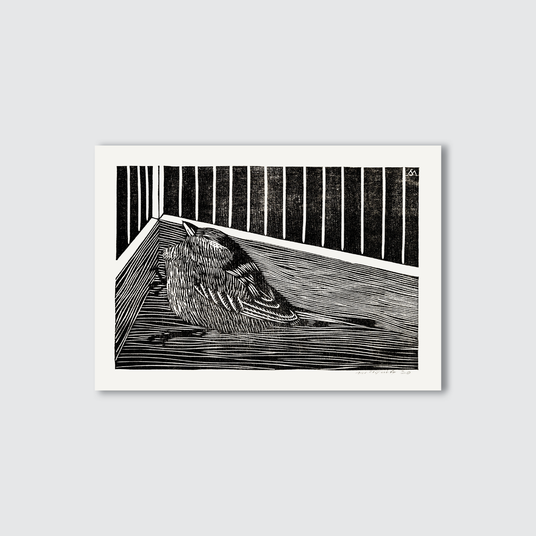 Sparrow bird in the corner, black and white etched print.