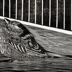 Bird in the Corner of a Cage (1914)