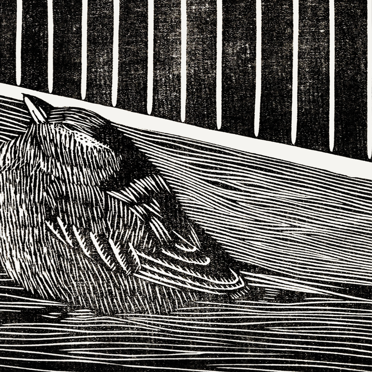 Bird in the Corner of a Cage (1914)