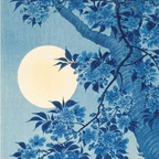 Blossoming Cherry on a Moonlit Night