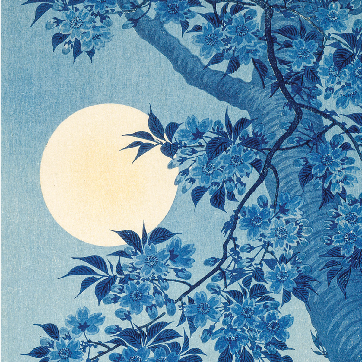Blossoming Cherry on a Moonlit Night