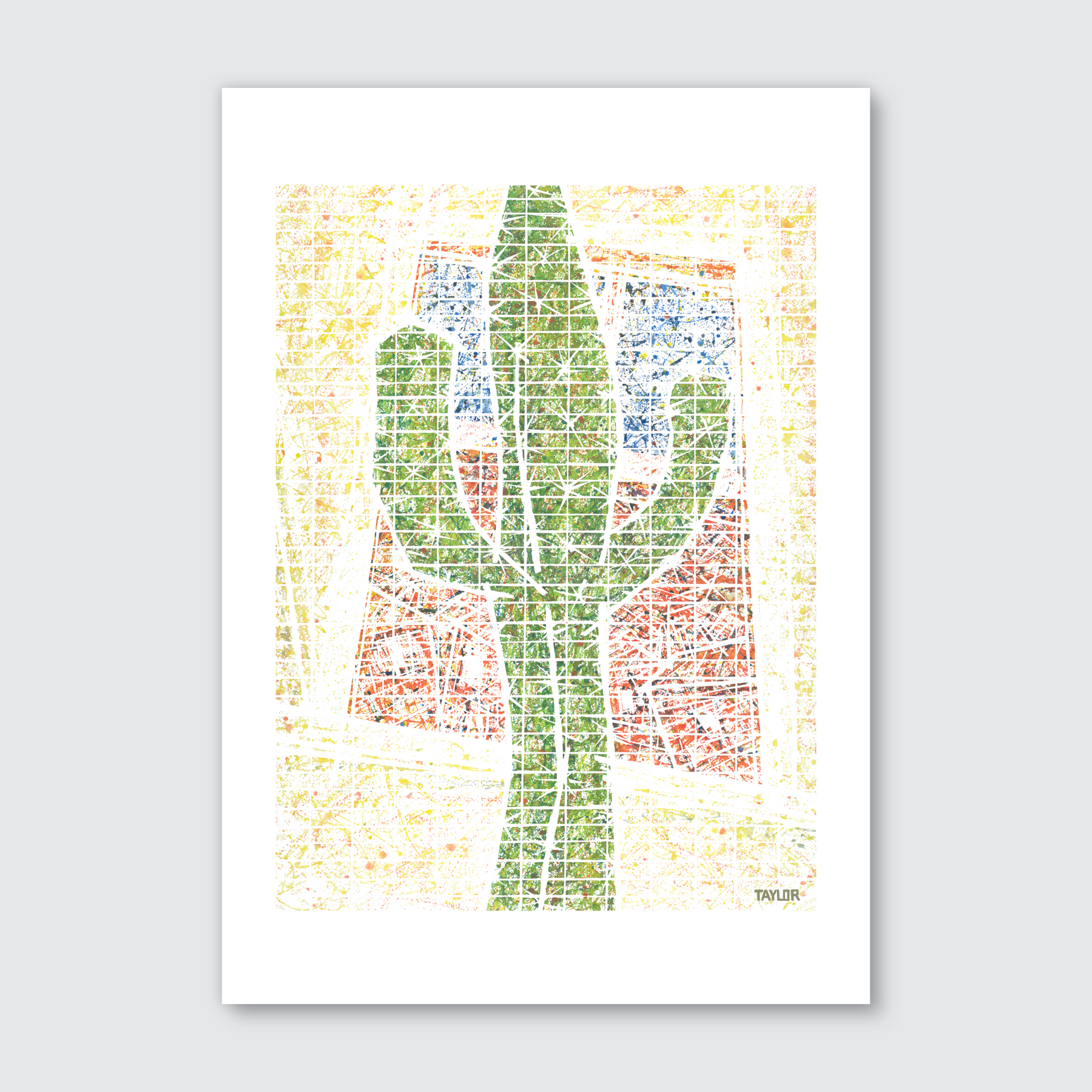 Cactus Life