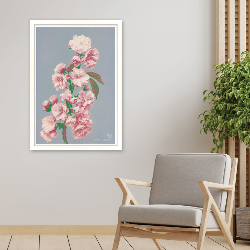 Cherry Blossom