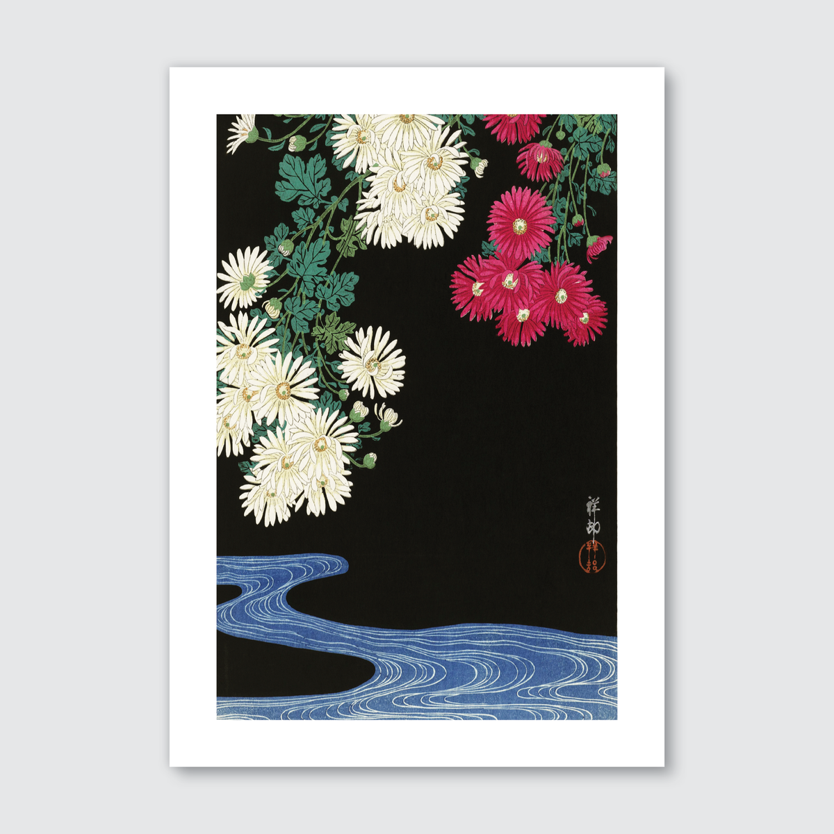 Chrysanthemums