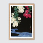 Chrysanthemums