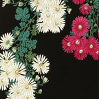Chrysanthemums