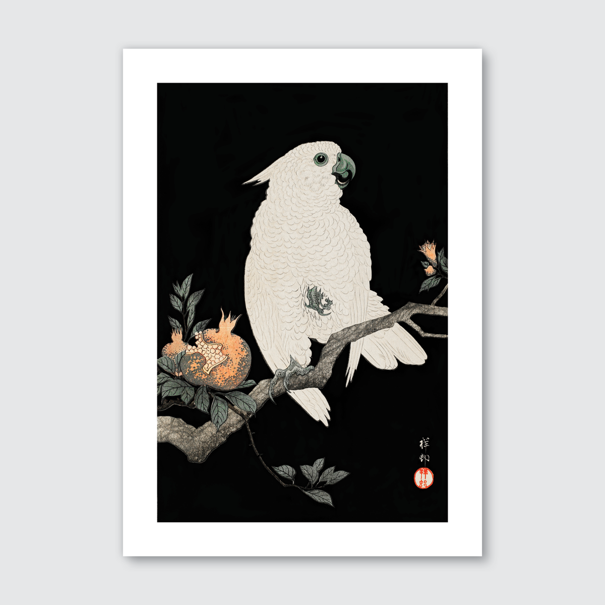 Cockatoo & Pomegranate