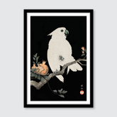 Cockatoo & Pomegranate