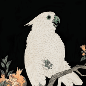 Cockatoo & Pomegranate