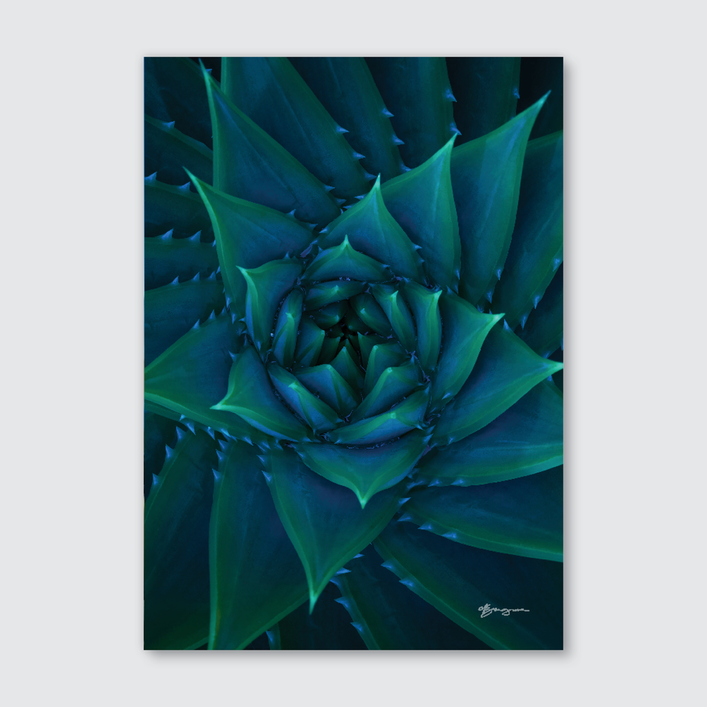 Abstract close-up photograph of a green botanical subject with a spiral pattern, in a portrait orientation.