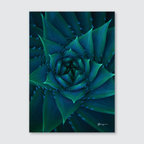 Abstract close-up photograph of a green botanical subject with a spiral pattern, in a portrait orientation.