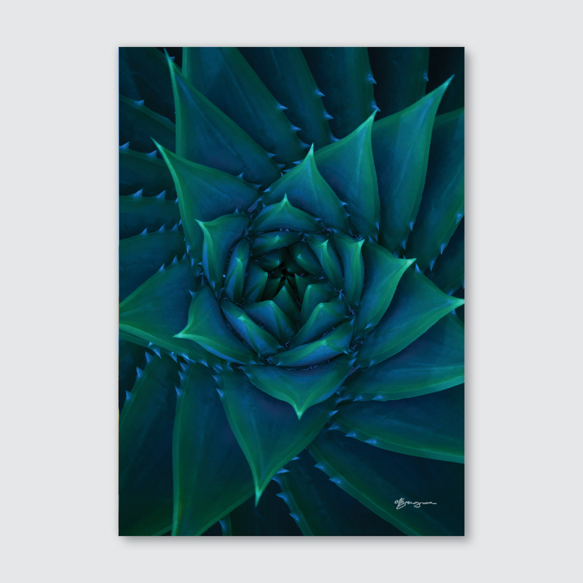 Abstract close-up photograph of a green botanical subject with a spiral pattern, in a portrait orientation.