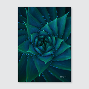 Creation