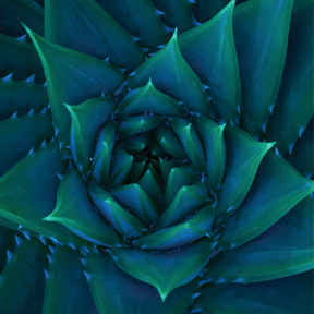 Creation