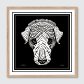 Dog's Head (1920)