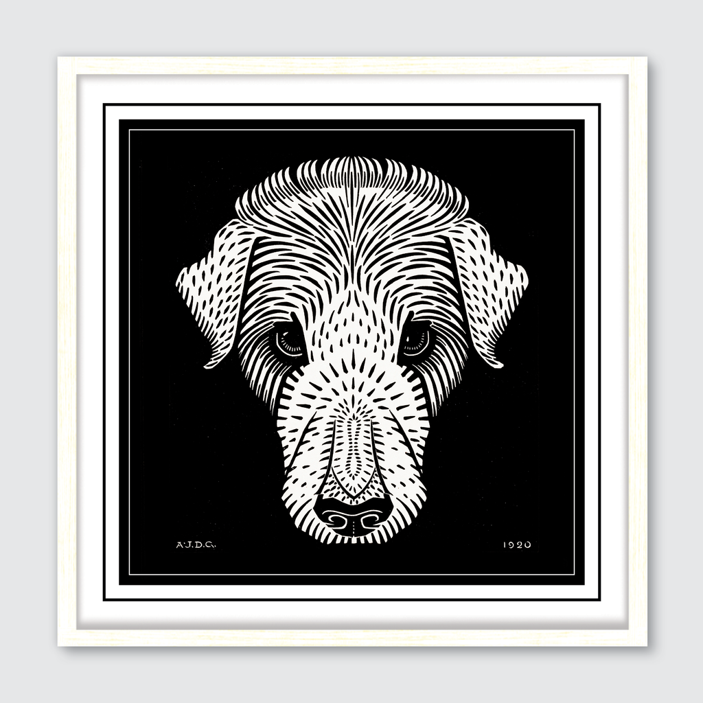 Dog's Head (1920)