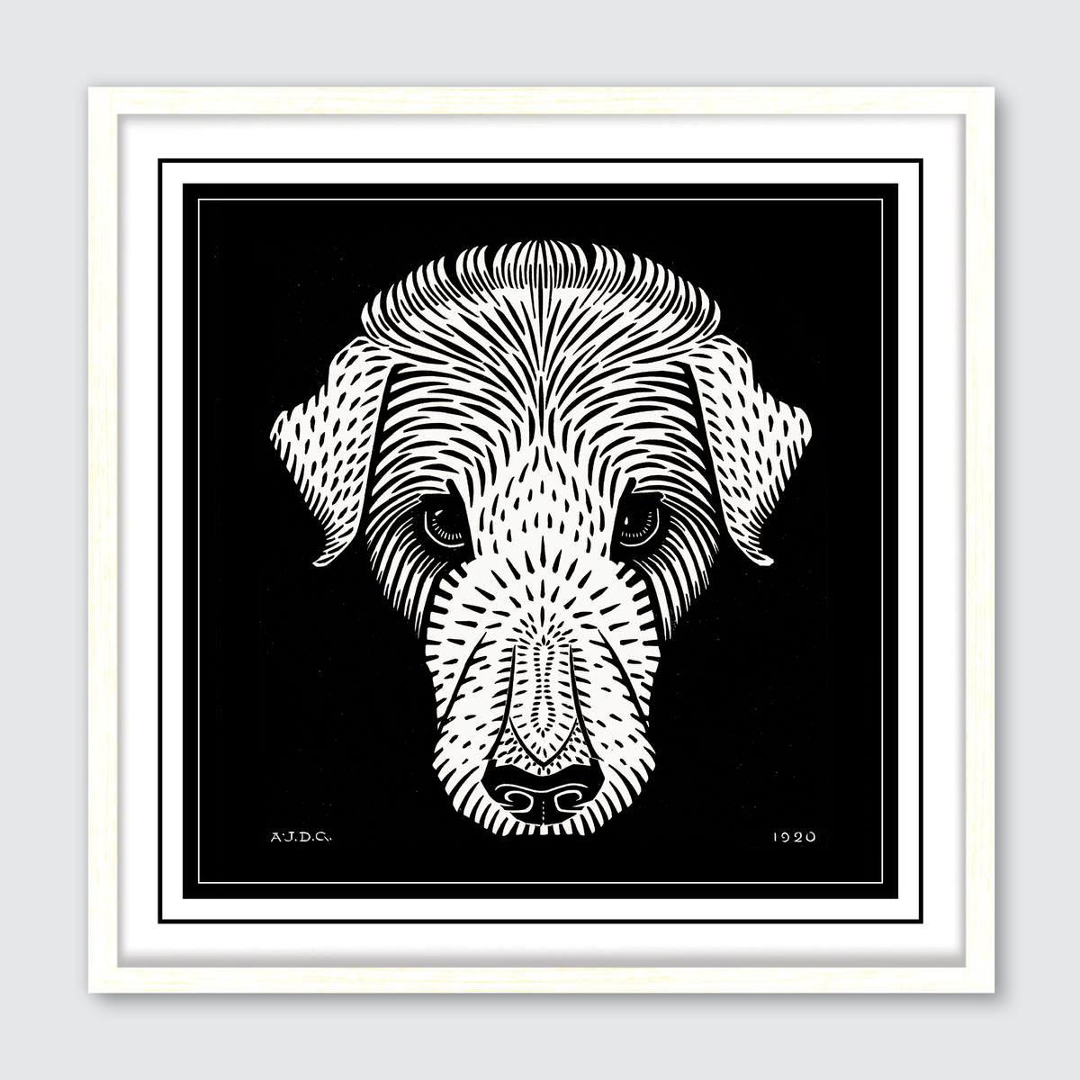 Dog's Head (1920)