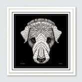 Dog's Head (1920)
