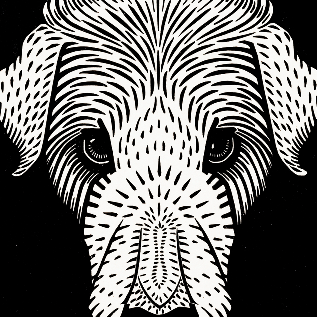 Dog's Head (1920)