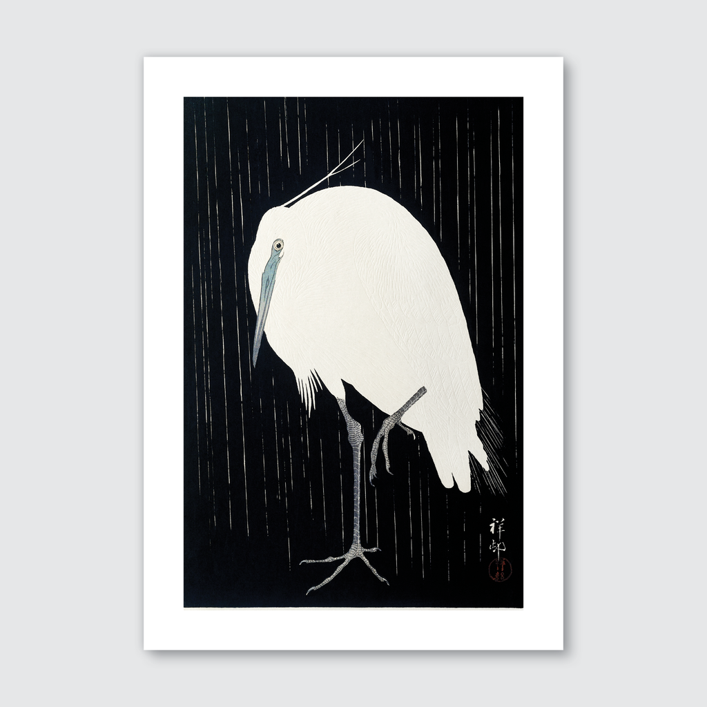 Egret in the Rain