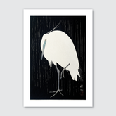 Egret in the Rain