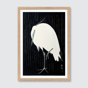 Egret in the Rain