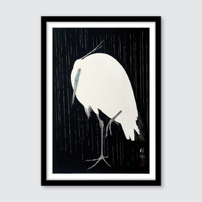 Egret in the Rain