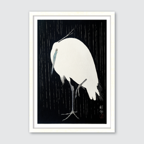 Egret in the Rain
