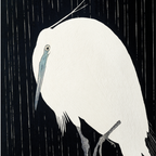 Egret in the Rain
